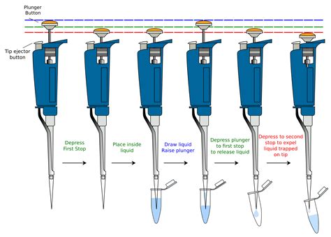 how to properly pipette